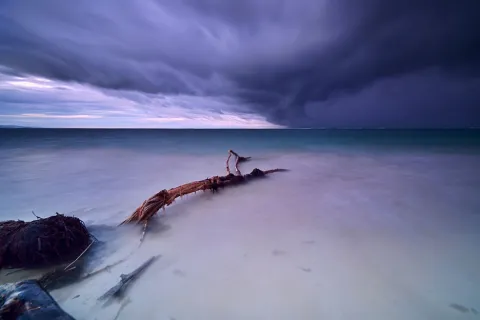 a log on a beach