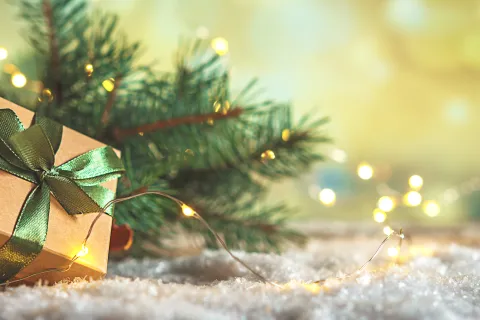 a small christmas tree