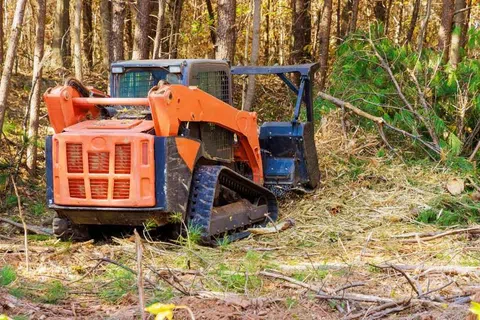 Compact orange tracked bulldozer clearing brush and branches in a forest with tall trees and green foliage.