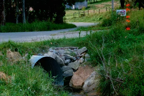 Small creek flowing through a culvert under a rural road surrounded by green grass and trees.