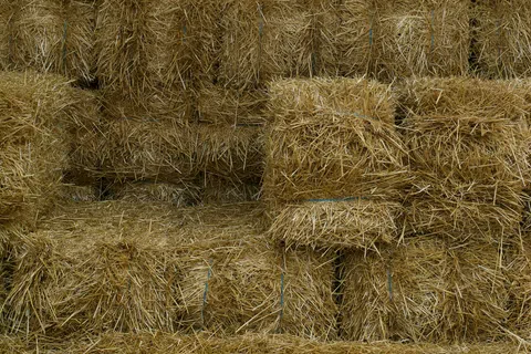 Stacked hay bales tightly packed in rows with loose straw scattered on the ground in front.