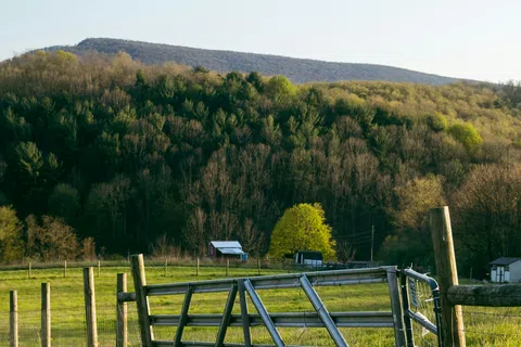 Sunlit metal farm gate opens to a wide green pasture with forest and hills in the background.