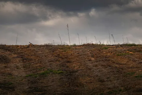 Barren deforested land with sparse dry vegetation under a cloudy gray sky before a storm.