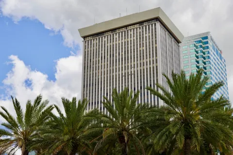 a tall building with palm trees