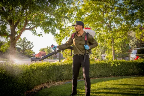 a pest technician using a mosquito fogger