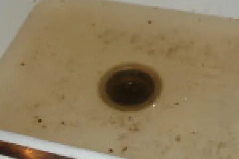 The ins and outs of hydro jetting your drains