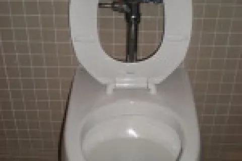 Is a pressure-assisted toilet right for your home?