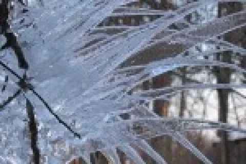 As a polar vortex sweeps through Georgia, frozen pipes raise concern