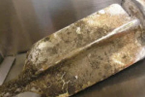 Plumbing DIY tips for homeowners