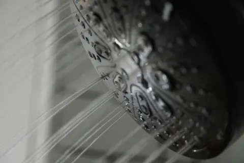 a close-up of a dollar bill