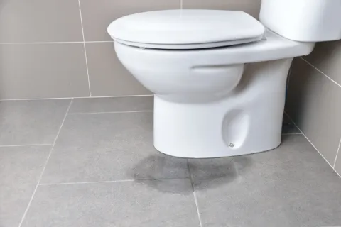 a toilet with a white seat