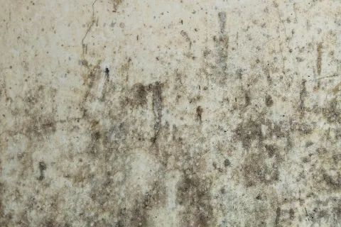 Close-up of a weathered, stained concrete wall with cracks and discoloration spots.
