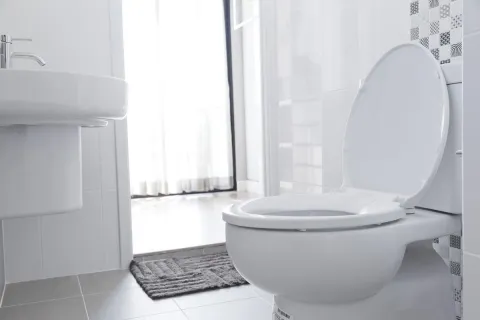 a bathroom with a toilet and shower
