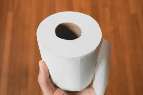 a hand holding a roll of toilet paper