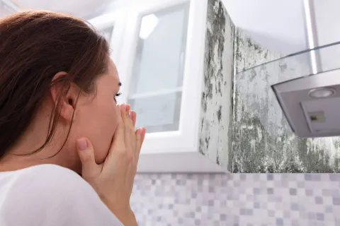 a woman looking out a window