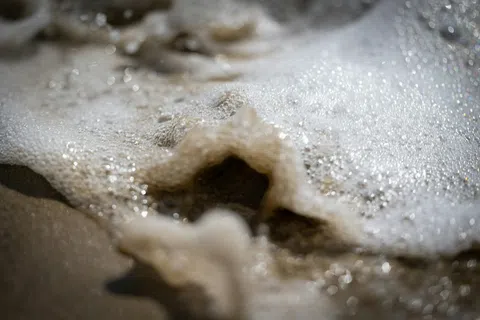 Close-up of sea foam bubbles on wet sandy beach with soft sunlight reflecting on water surface.