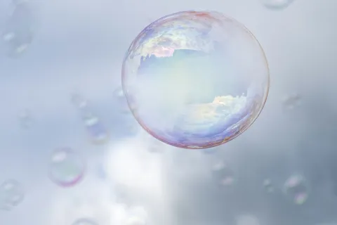 a blue and pink jellyfish