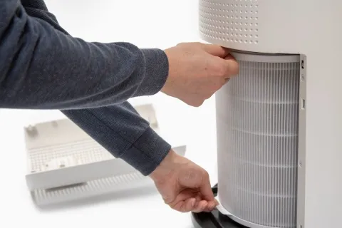 a person holding a file