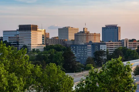 a city with trees and buildings
