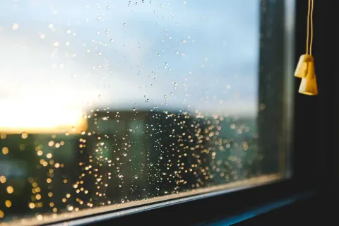 The Benefits of Impact-Resistant Windows for Storm Protection