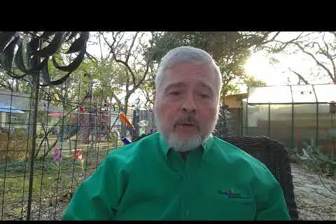 Older man with white beard wearing green shirt sitting outdoors in garden with sunlight behind trees.