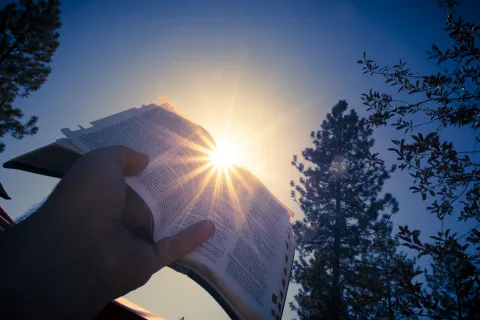 a hand holding a bible up to the sun with trees in the background
