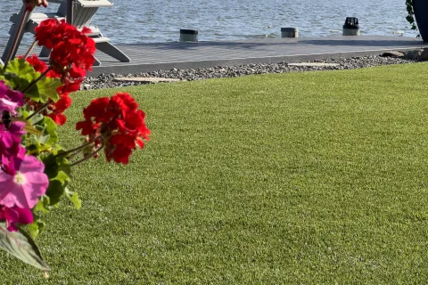 Green lawn with bright red and pink flowers near a wooden dock by calm water on a sunny day