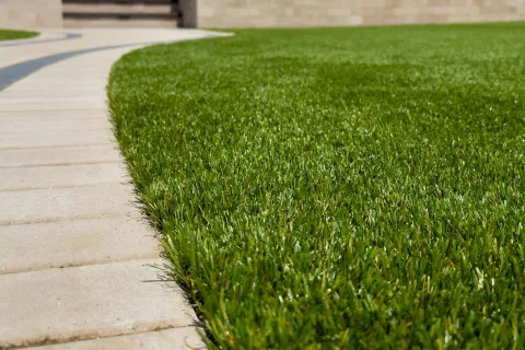 Close-up of artificial turf lawn next to curved stone walkway in a landscaped backyard.