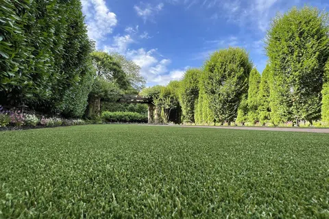 Low angle view of a lush green lawn surrounded by tall trees and shrubs under a blue sky with clouds.