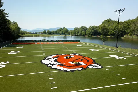 How To Maintain Safe Artificial Turf For Athletic Performance