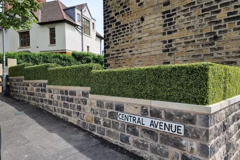 Stone wall with trimmed green hedges along Central Avenue sidewalk and residential buildings in background