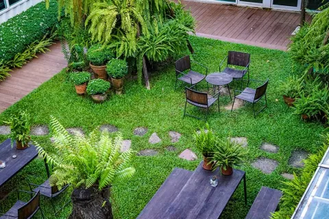a backyard with chairs and plants