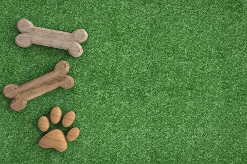 Wooden dog bones and paw print on green grass background representing pet toys and care.