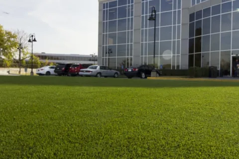 a building with a parking lot