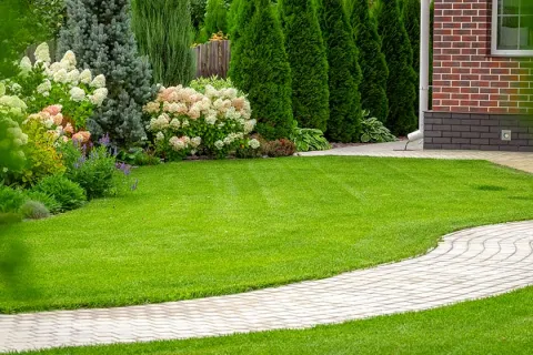 Lush green lawn bordered by colorful flowering shrubs and neatly paved pathway near a brick house.