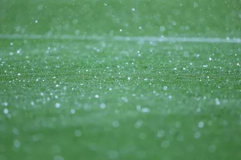 Close-up of green grass field with scattered water droplets under soft light creating a bokeh effect.