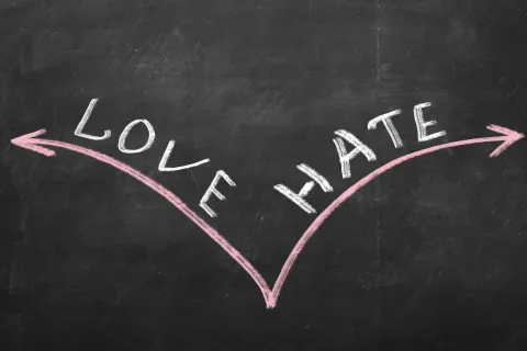 Solidarity Suday: The Love/Hate Relationship with Organizing