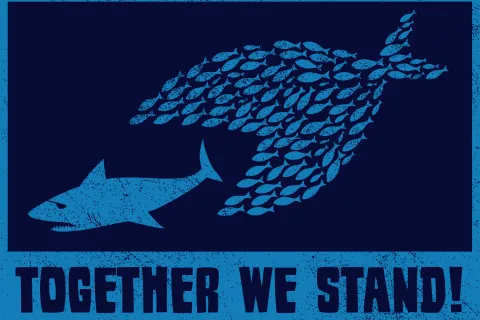 Solidarity Sunday: The Role of Organizing and Advertising