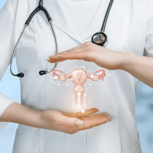 Doctor holding a digital hologram of a female reproductive system between their hands with a stethoscope.
