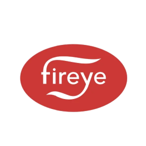 FireEye logo with white text inside a red oval shape resembling a flame.