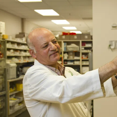 Pharmacist in white coat selecting medication from shelves in a well-organized pharmacy.