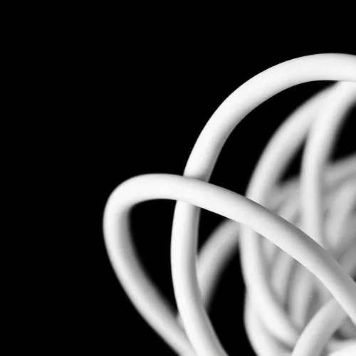 a close-up of a brain