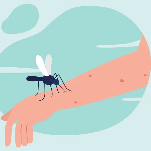 Illustration of a mosquito biting a human arm causing red itchy bumps against a blue background.