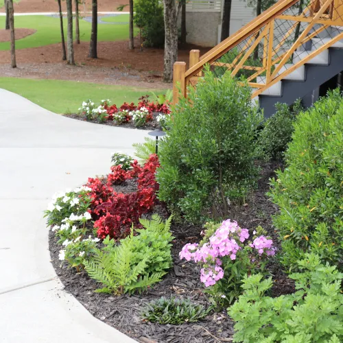 a garden with a staircase