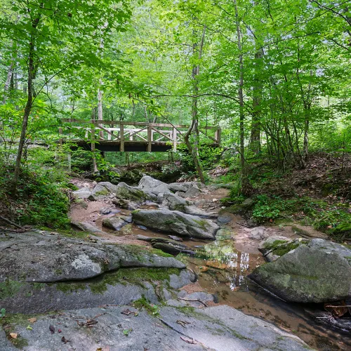NatureWalk Dallas GA