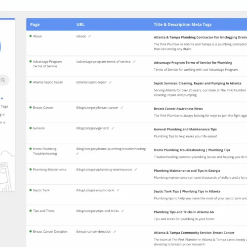 Dashboard showing 98% SEO score for plumbing website with page list and meta tag details