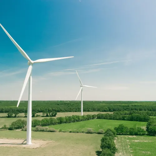 a group of wind turbines in a field