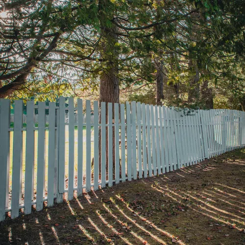 Sunlight casts long shadows of a white wooden picket fence on a forest floor with fallen leaves and green trees.