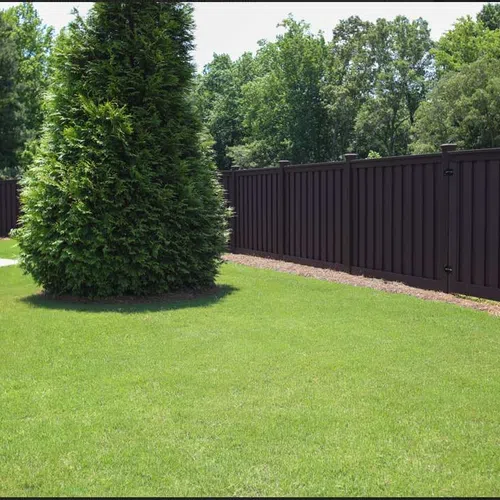 Lush green lawn with tall evergreen trees and dark brown vinyl privacy fence in a sunny backyard.