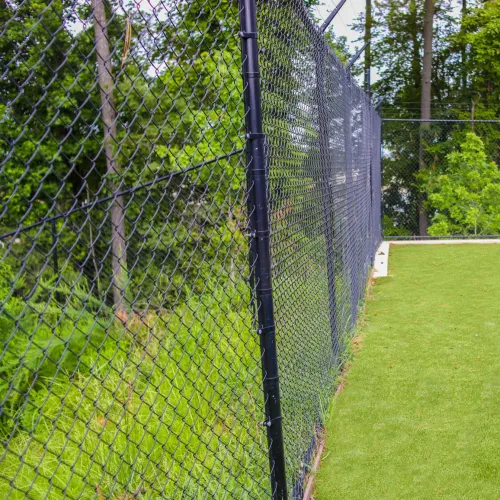 Black chain link fence alongside a lush green grass field with dense trees in the background.